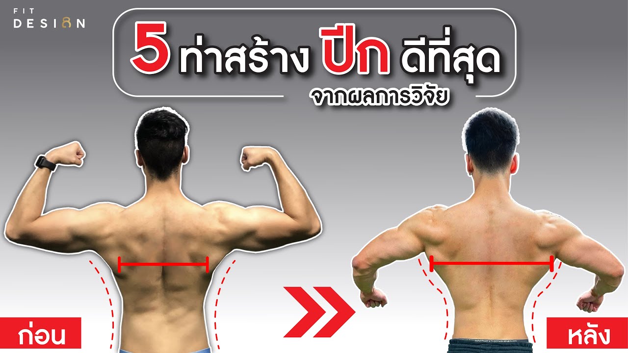 5 ท่าสร้างกล้ามหลังส่วนปีก เพิ่มความกว้างของหลังได้ดีที่สุด มีงานวิจัยรับรอง | FITDESIGN