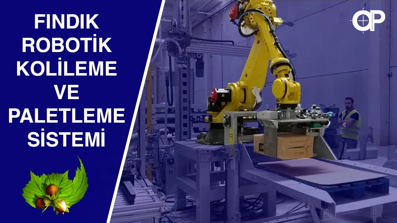 Fındık Kolileme ve Paletleme Hattı - Vacuum Pack Carton Box Filling and Palletizing System