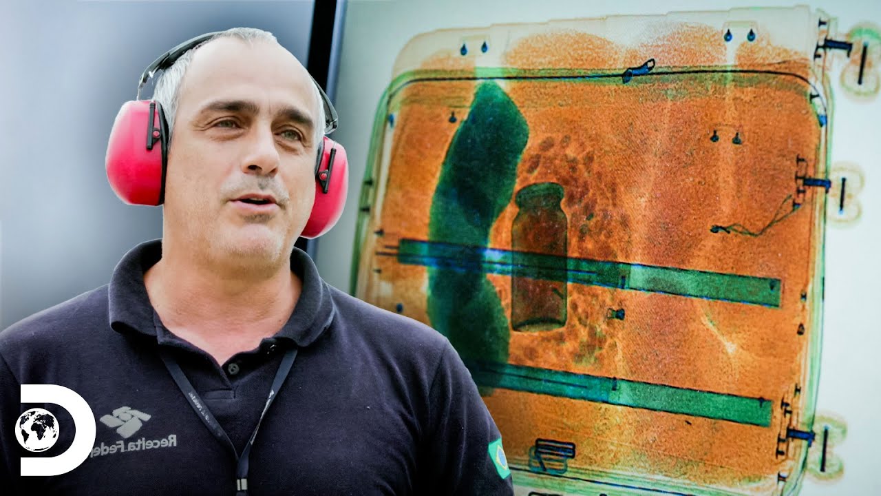Buscan drogas y armas en maletas de vuelo | Aeropuerto de Sao Paulo | Discovery Latinoamérica