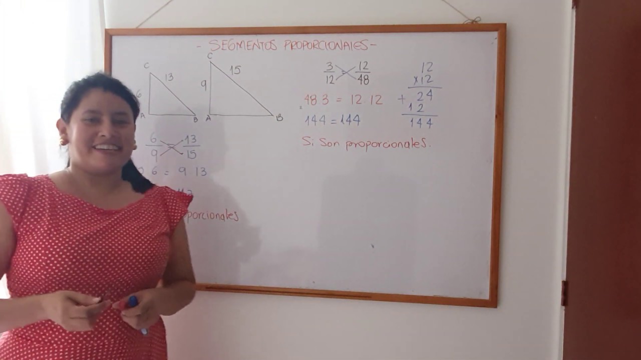 SEGMENTOS PROPORCIONALES
