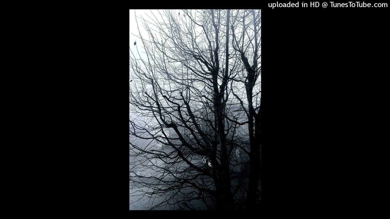 (free) nine vicious x 1300saint type beat 