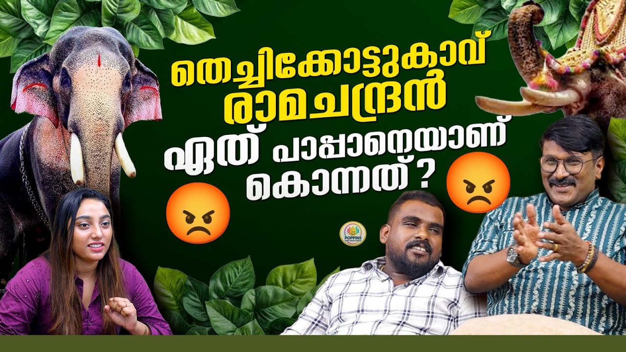 പൂരം ഇളക്കി മറിക്കുന്ന ശൈലേഷ് വൈക്കവും അഖിൽ ഷാജിയും | KERALA | THECHIKOTT RAMACHANDRAN