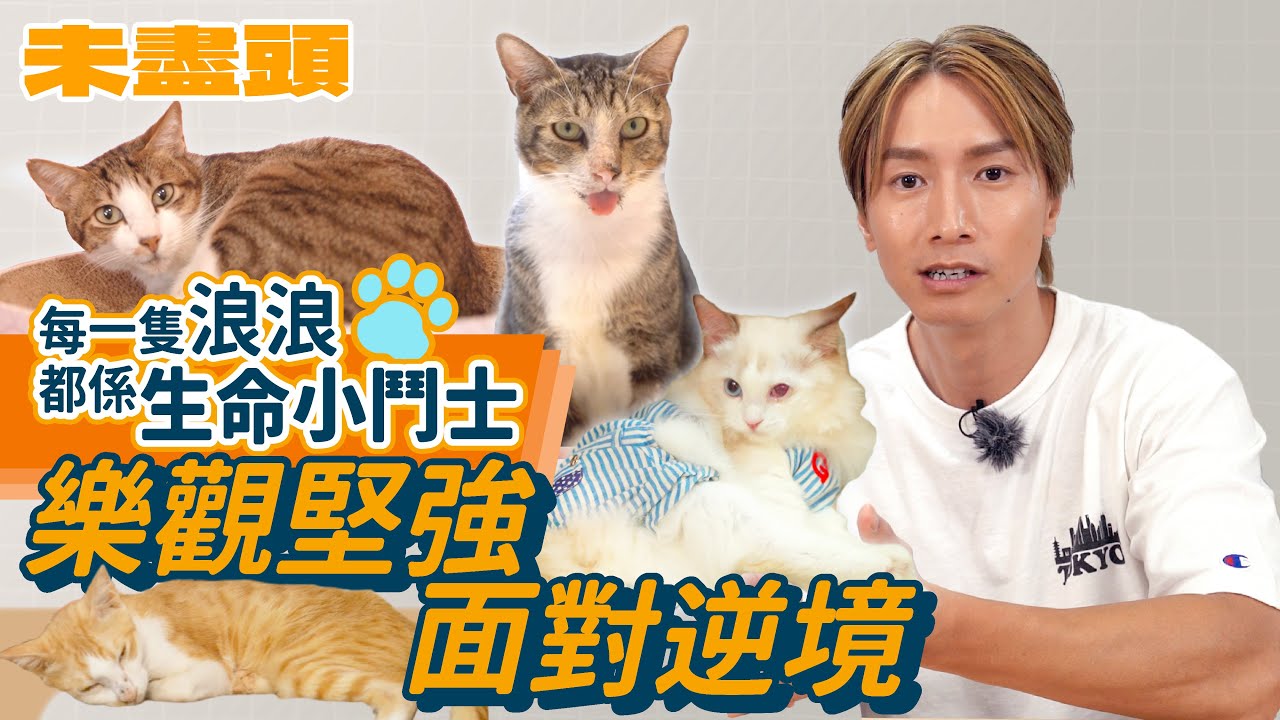 每一隻浪浪都係生命小鬥士 從牠們身上學會樂觀堅強面對逆境｜陳伯鏟屎義工一日體驗｜香港拯救貓狗協會 (HKSCDA) - 陳柏宇 Jason Chan（中文字幕）
