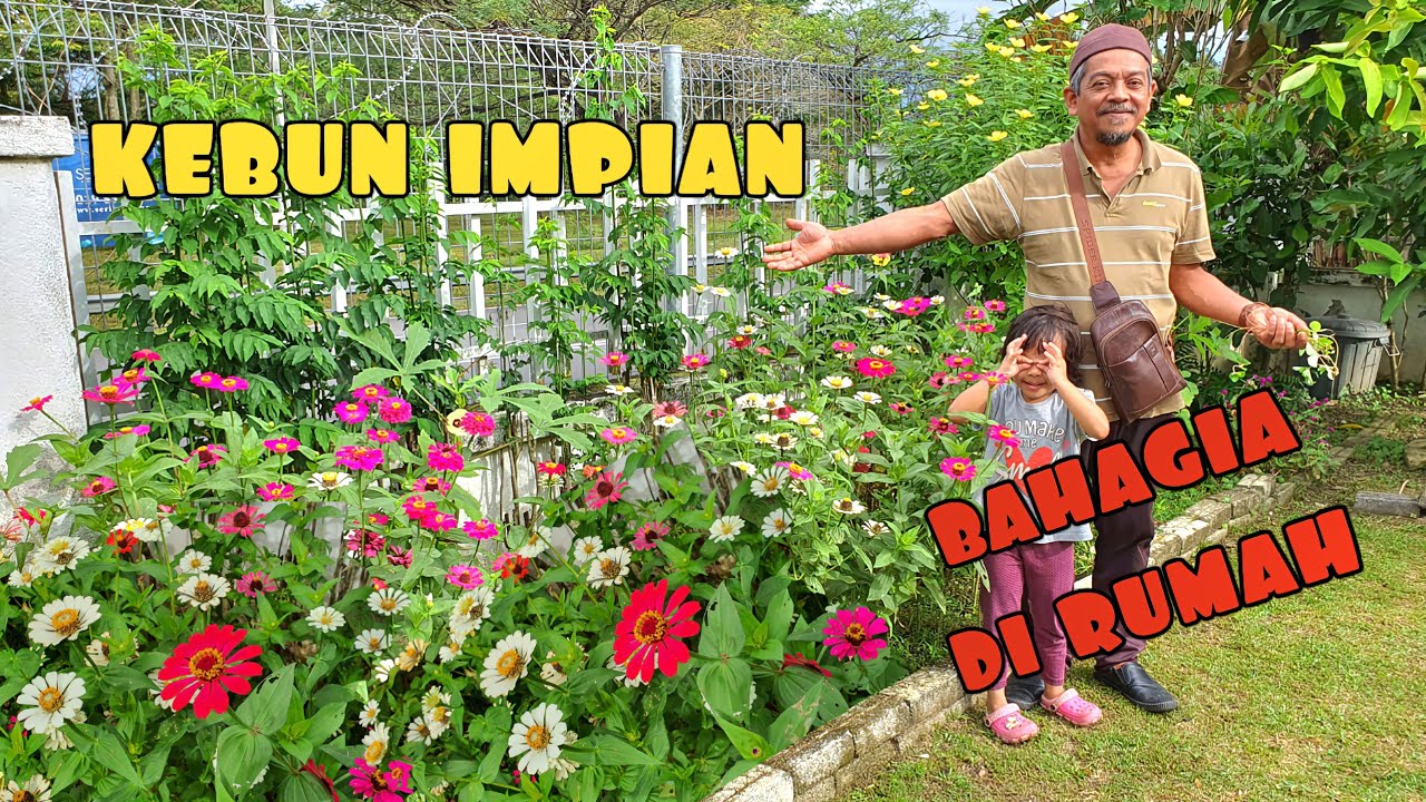 ✅️ KEBUN IMPIAN TEPI RUMAH || KELUASAN DAN KERJAYA BUKAN PENGHALANG