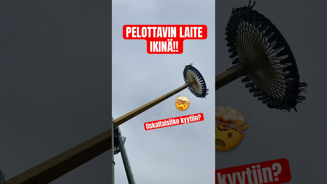 Uskaltaisitko sä ton kyytiin?? 😭