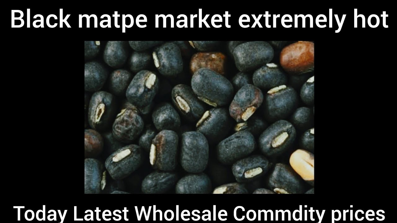 Black matpe Market is hot | Sugar Market Decreased | Today Latest Wholesale Commodity Prices