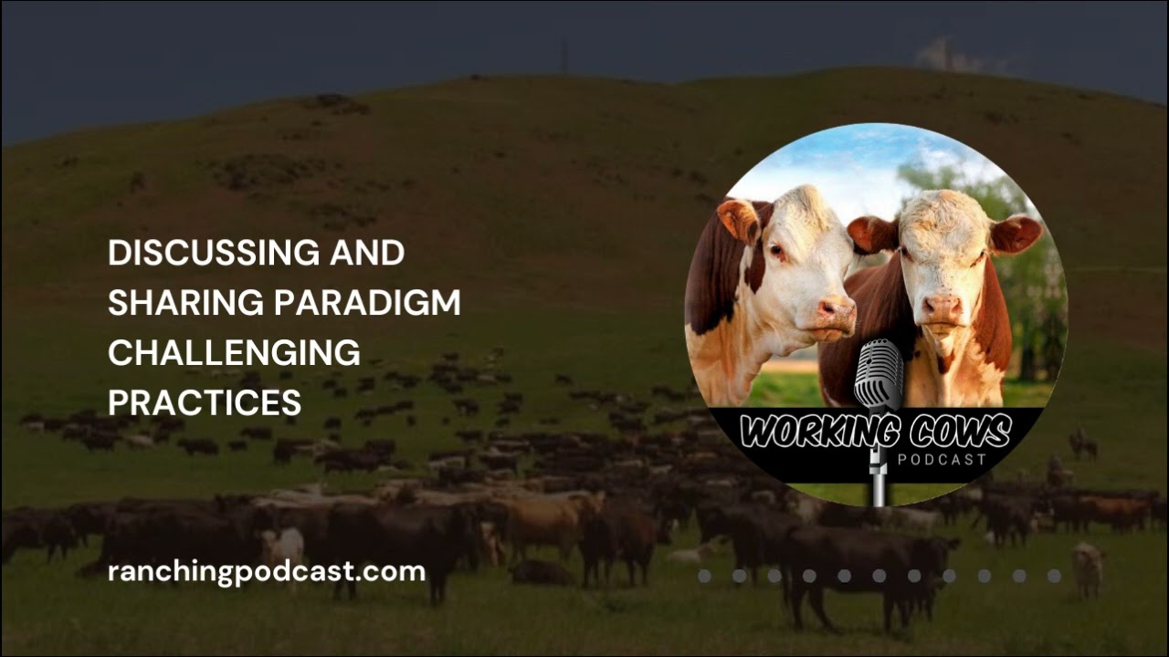 Ep. 396 &ndash; Jonathan and Stefan Bouw &ndash; A Journey into Grass-Based Genetics | Working Cows