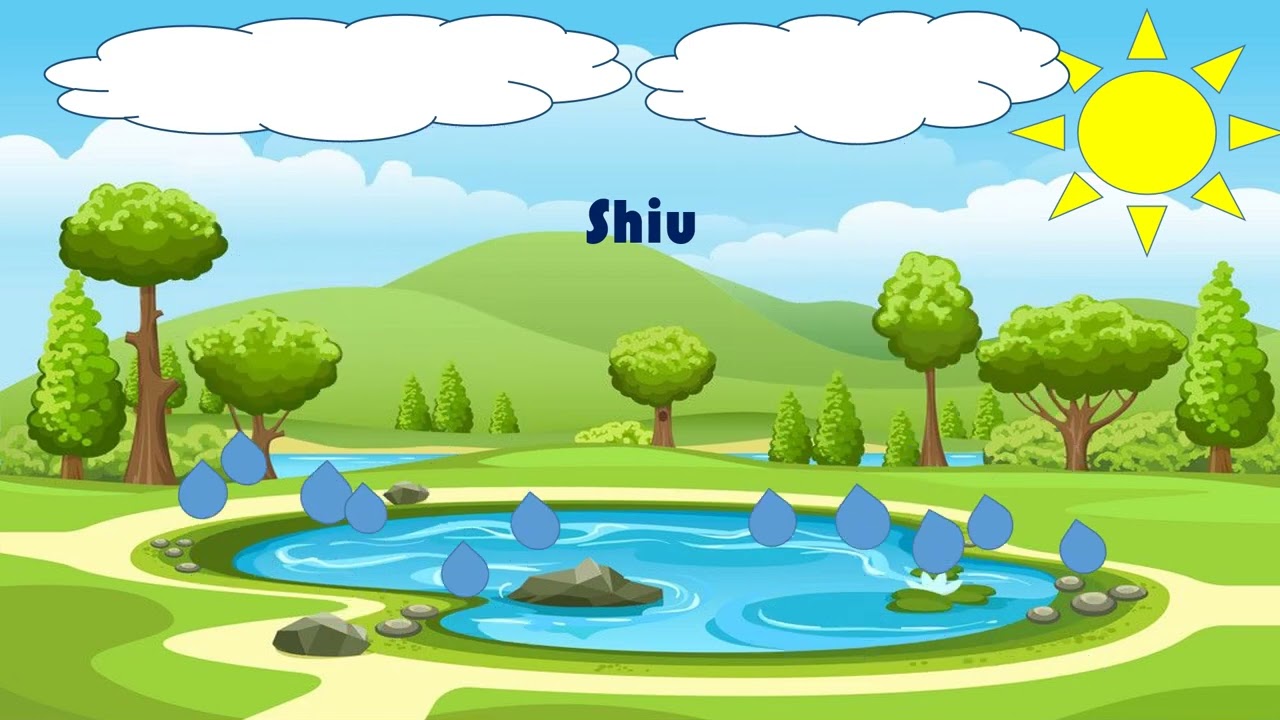 Si formohet Shiu