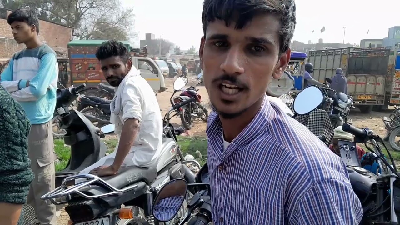 Bilaspur kabutar Bajar