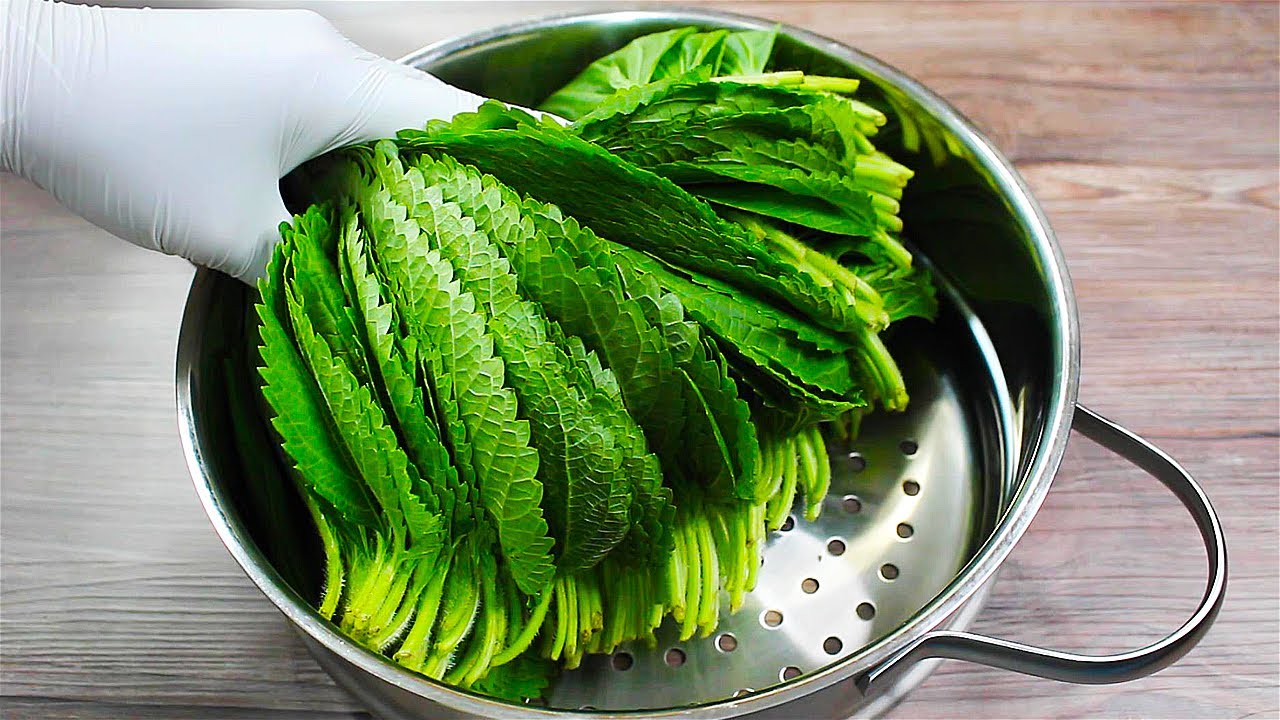6월 깻잎은 무조건 많이 사서 찜통에 쌓으세요! 1년 내내 반찬걱정 싹 사라짐...