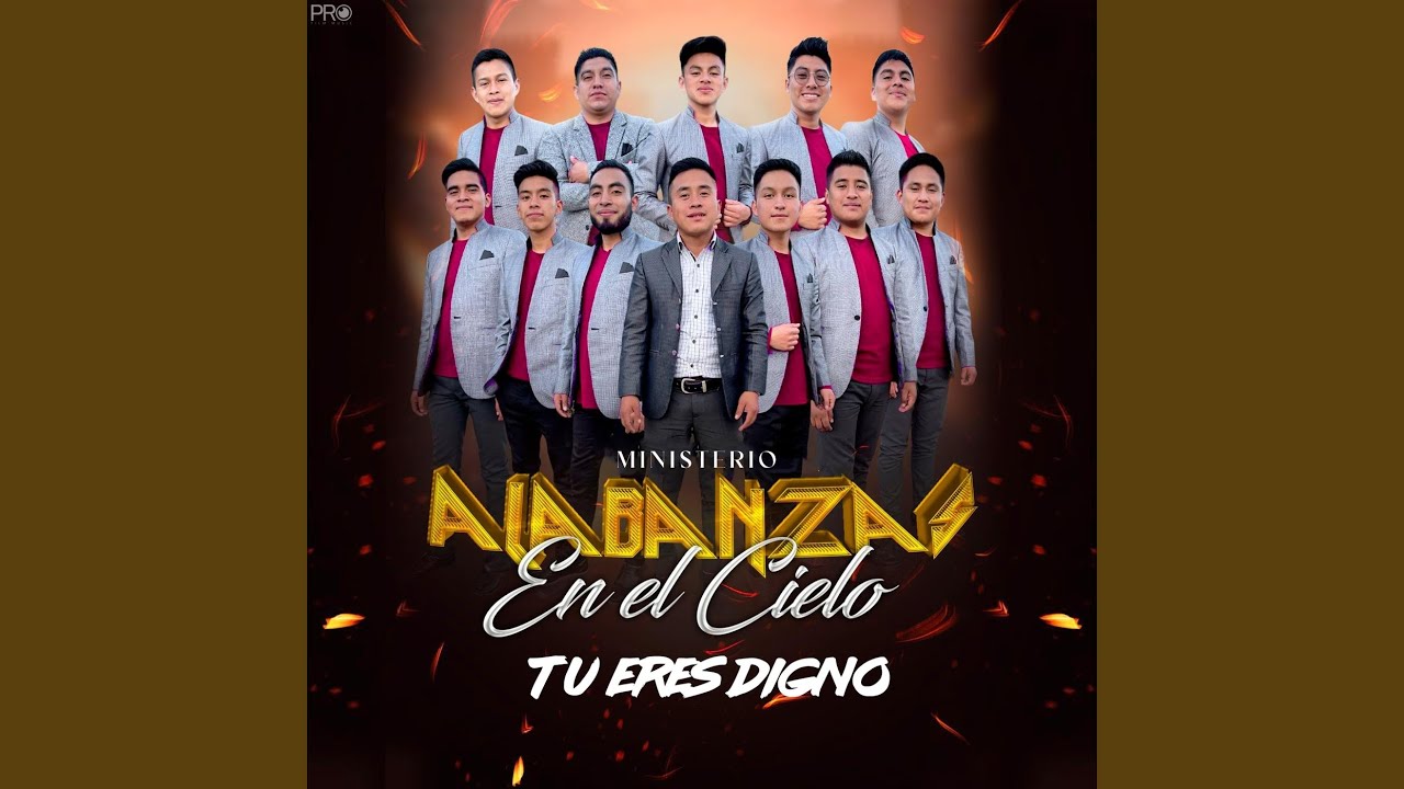 Llegaste Tu