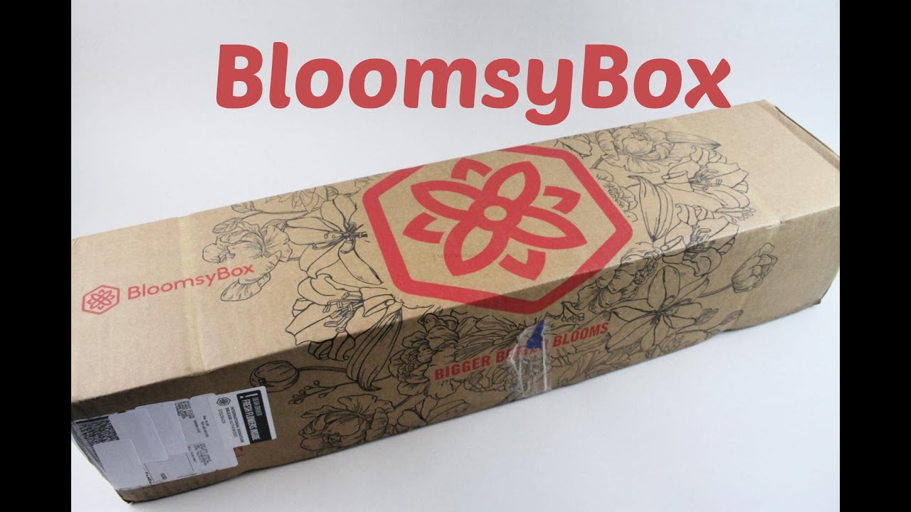 BloomsyBox November 2020 Flower Subscription Box Review + Cyber Monday Coupon