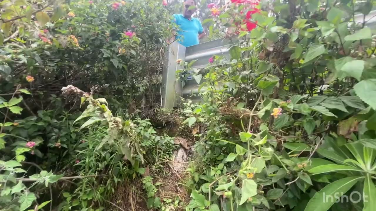Kodaikanal Poondi village Poolur 1 acre patta land sale  9361146162