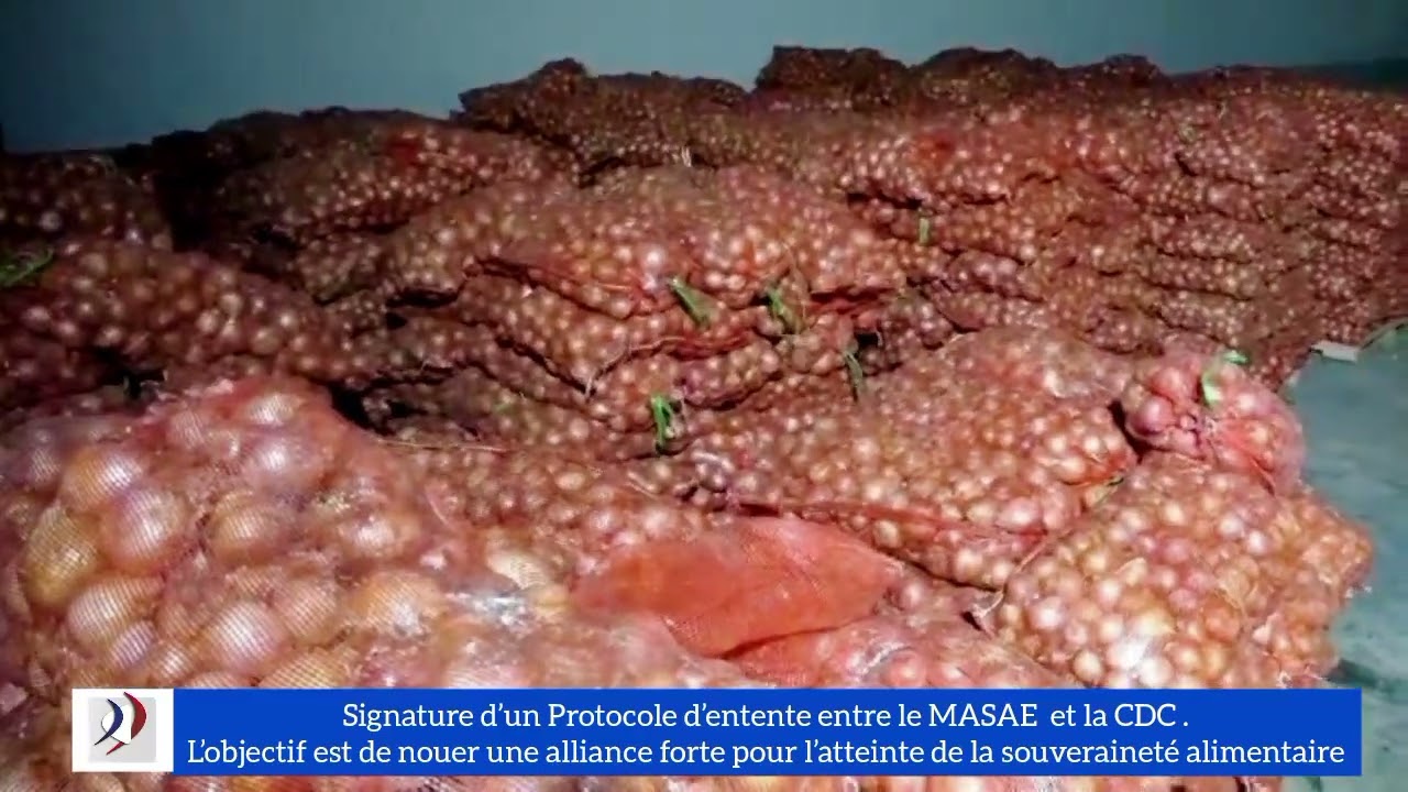 Signature d'un protocole d'entente en la CDC et le MASAE