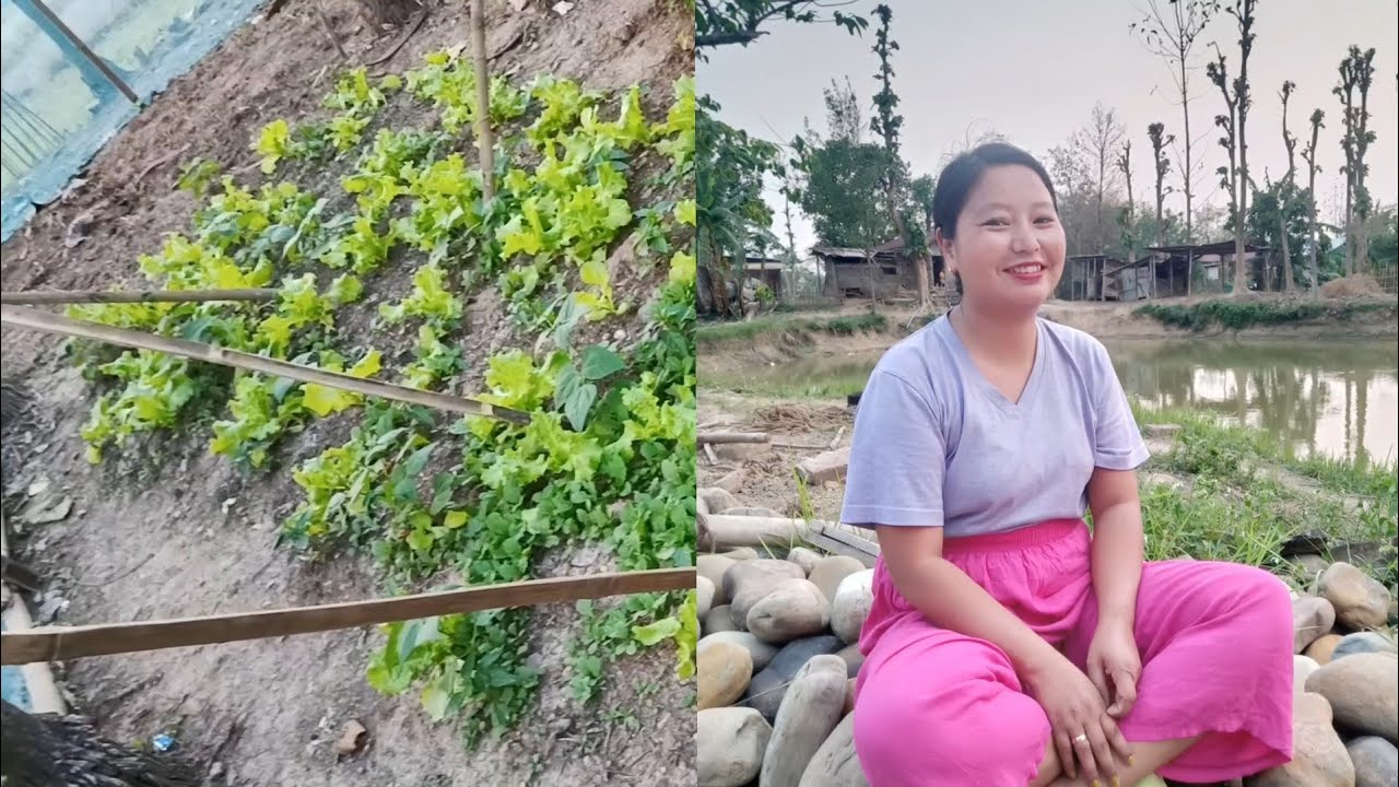 Kitchen garden🥬|34