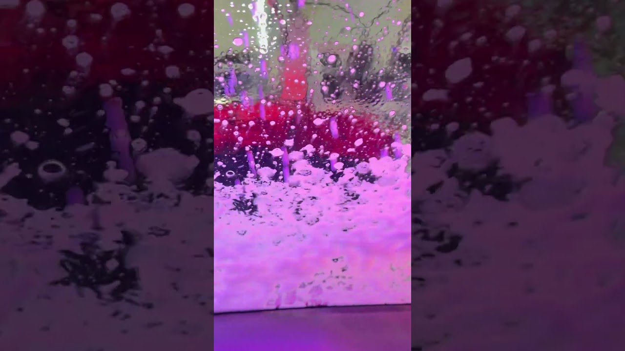 Watch this&hellip;.#pollenallergy #carwashservice #detailing #automobile #thisisflorida