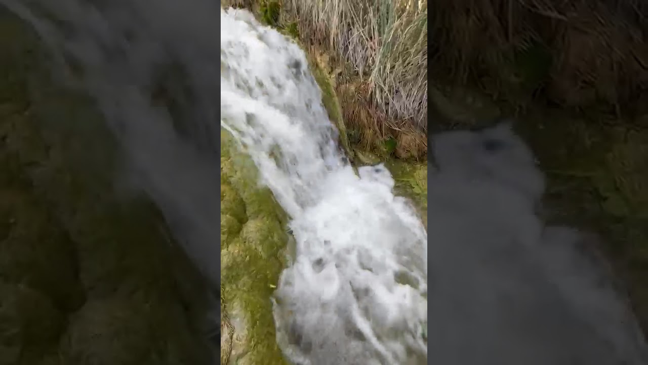 Bonita cascada  en Arteaga Coahuila #naturaleza #paseo #caballos #cabalgata 