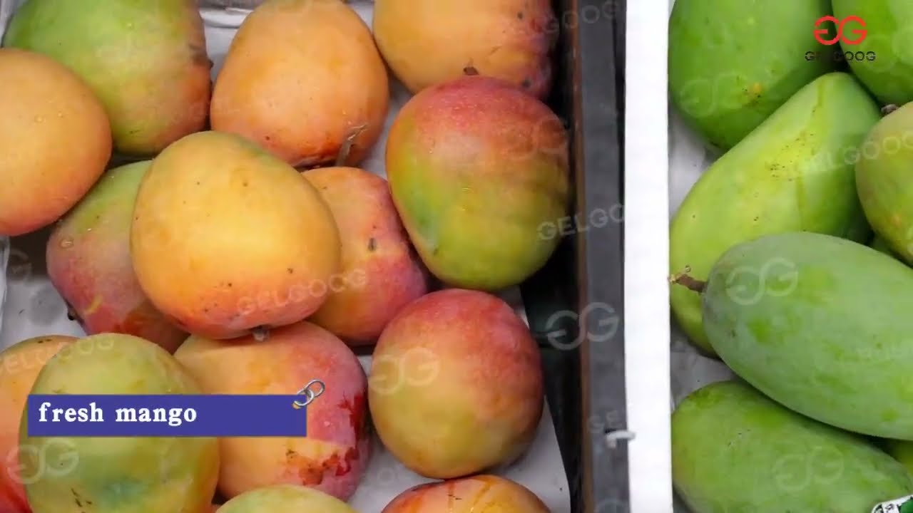 #Mango Cube Processing Line