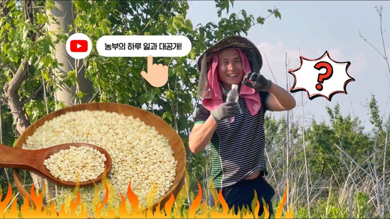 처음 찍은 농촌 브이로그인데… 귀엽다고 난리남 🚜