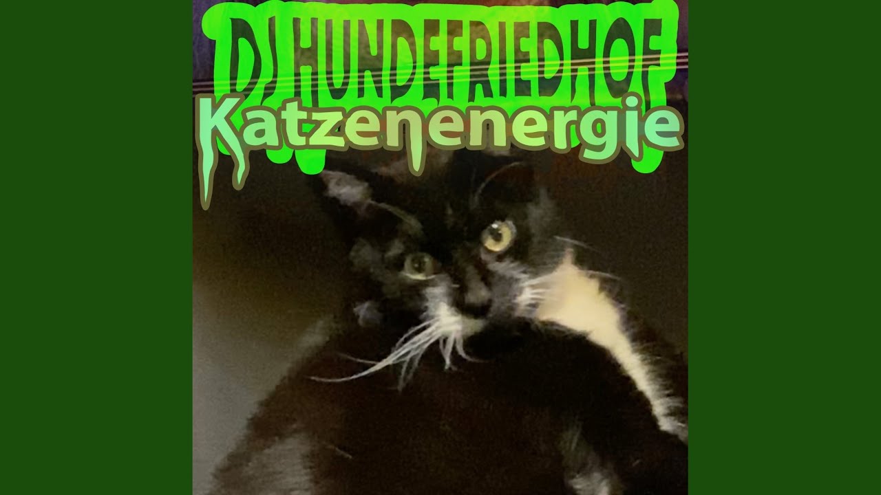Liveset - Katzenenergie