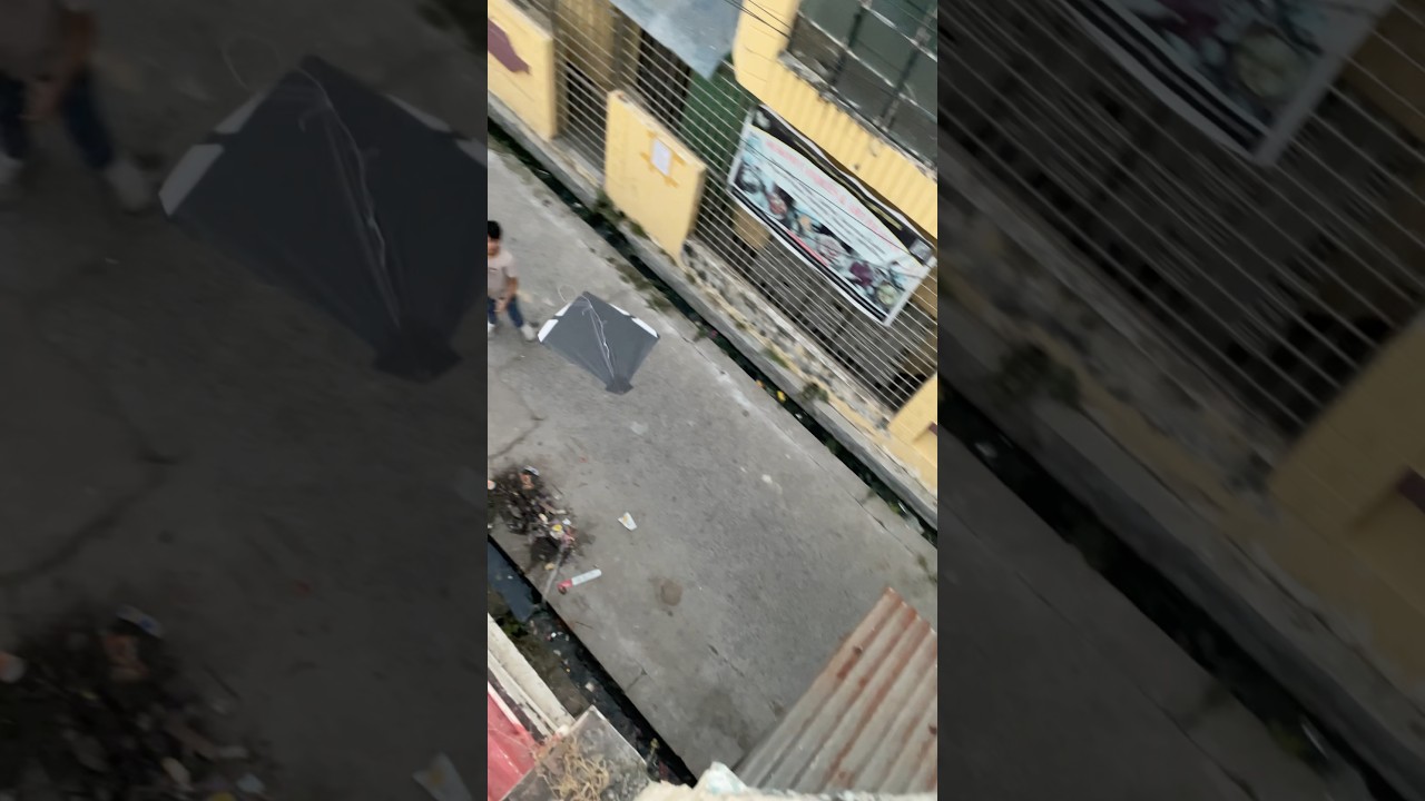 Viral kite looting #youtubeshorts #viralvideo #shortvideo #shortsfeed