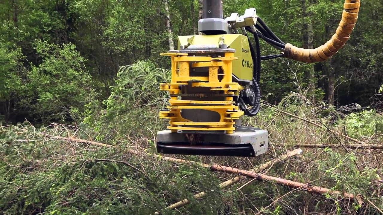 Bracke C16.c - Silviculture and biomass head