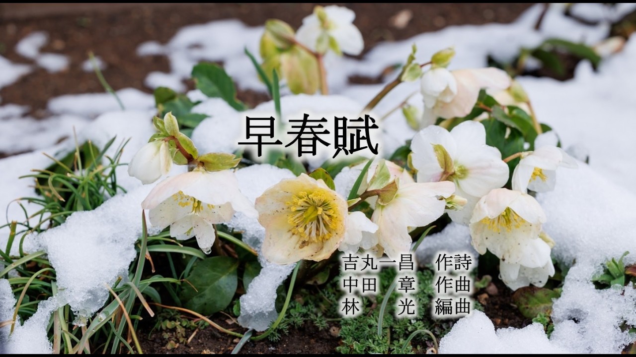 早春賦