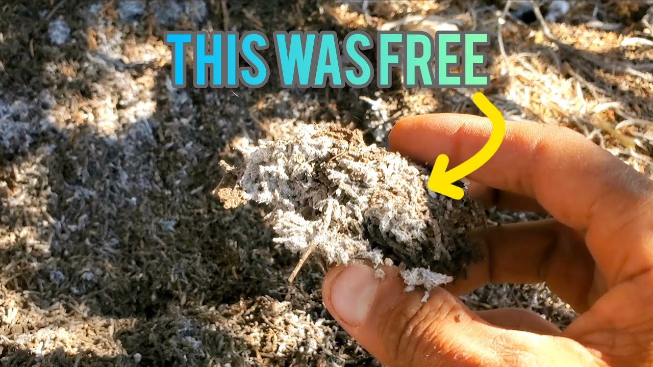 It's Like Compost But BETTER