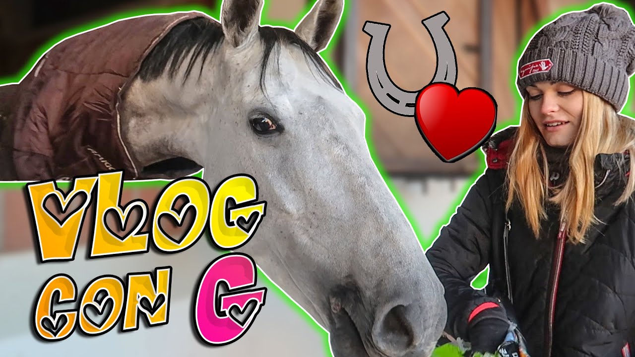 MI ALLENO CON IL MIO CAVALLO G!