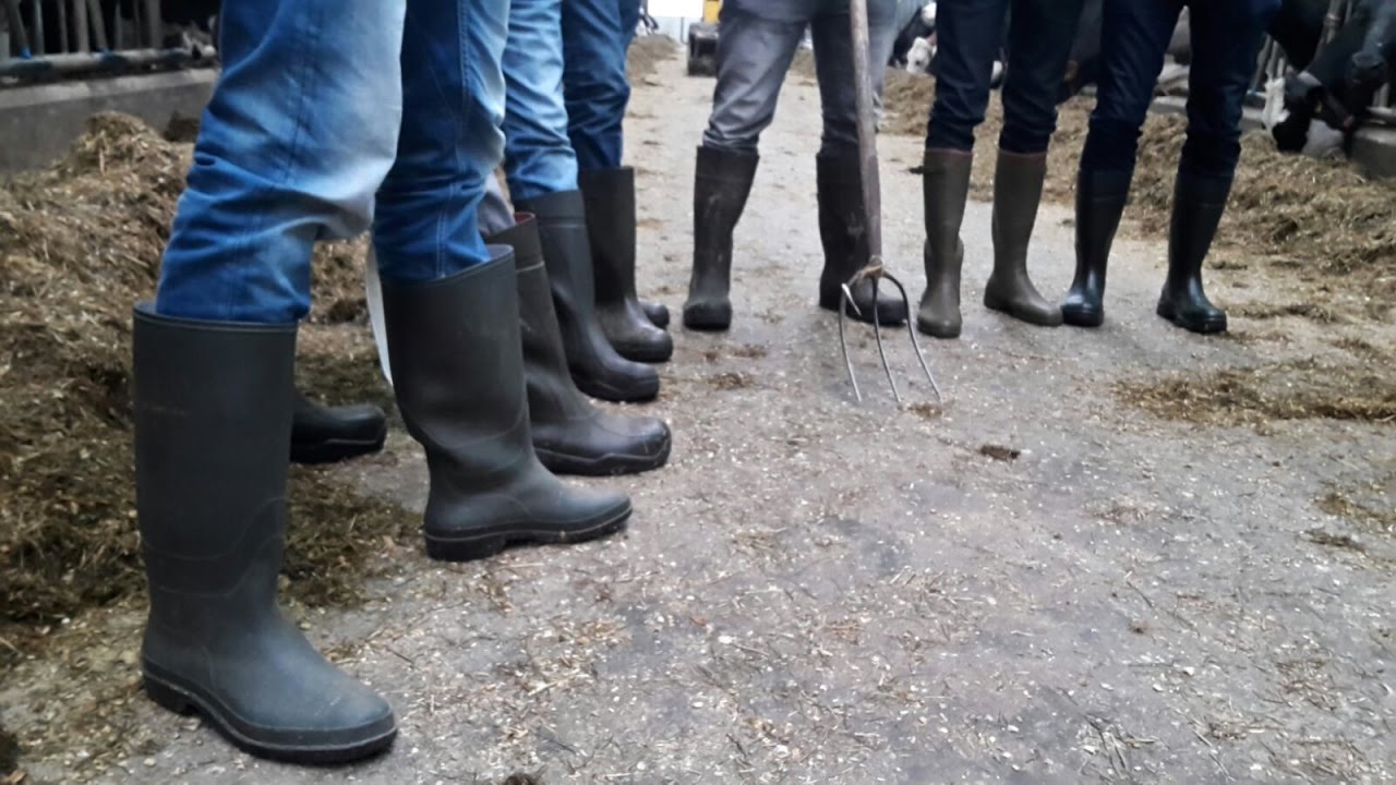 Samenvatting #Laarzenactie