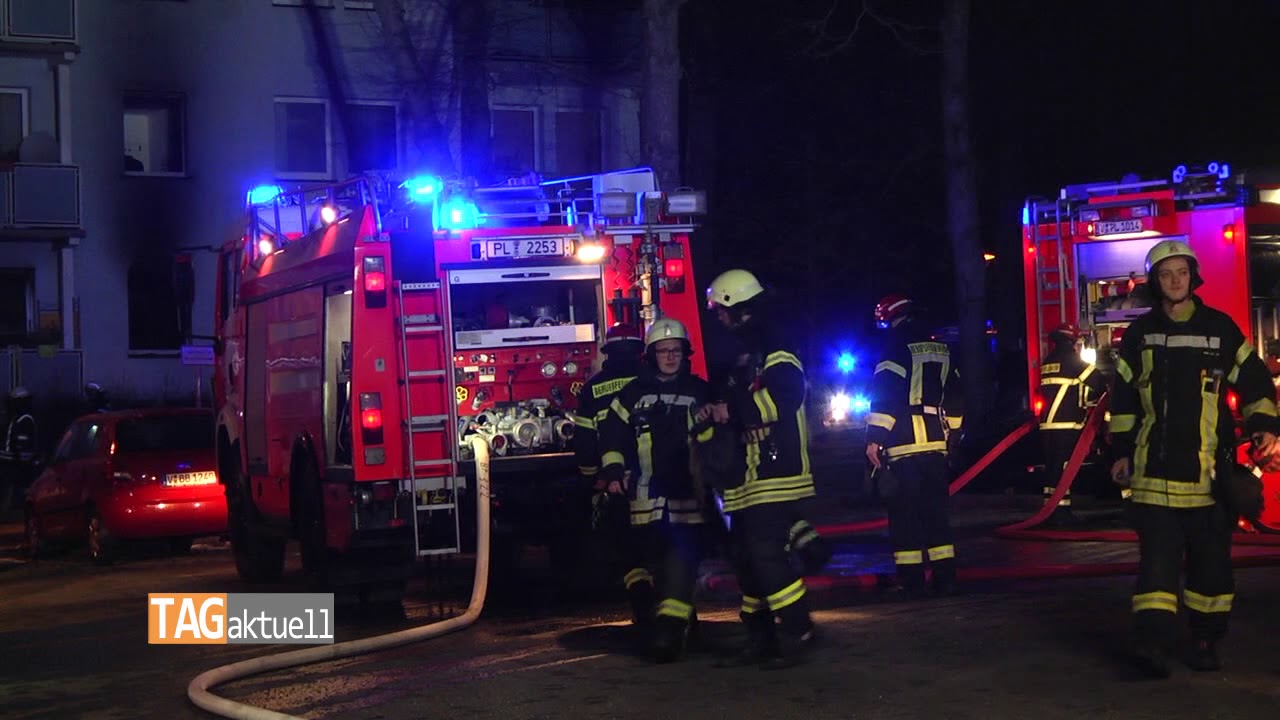 Feuerwehr rettet Papagei bei Wohnungsbrand in Plauen