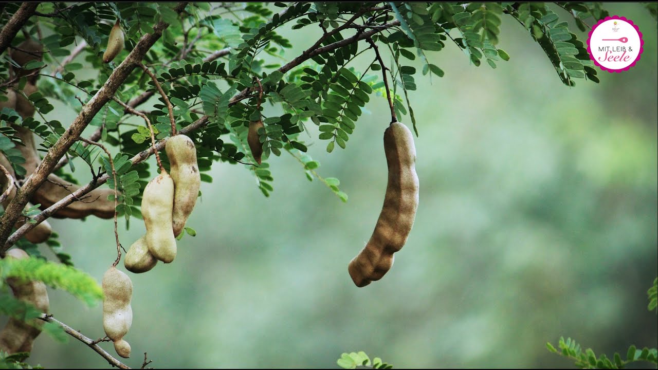 Tamarinde