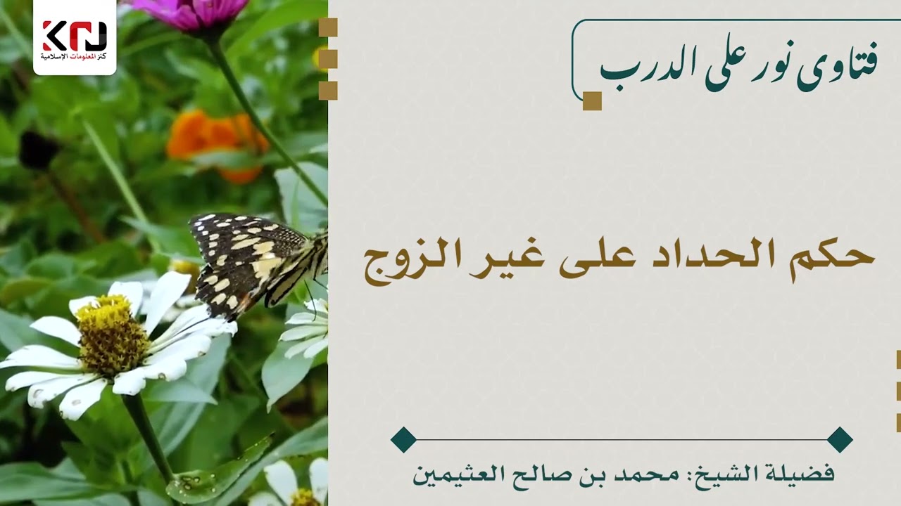 حكم الحداد على غير الزوج - ابن عثيمين