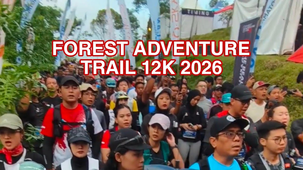 FAT | FOREST ADVENTURE TRAIL 12K.2026