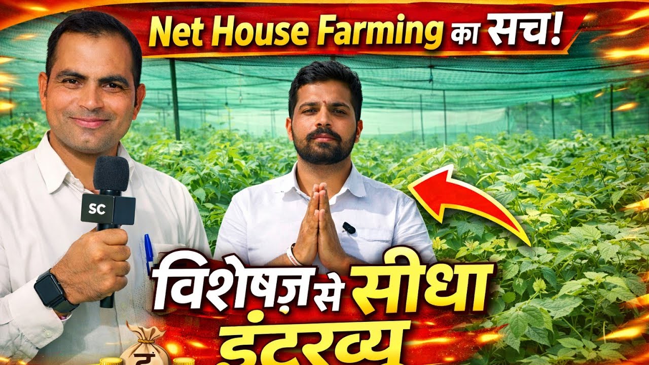 क्या होता है Net house? क्यों किसान भाई net house लगवाते है? क्या फायदा है net house से? 