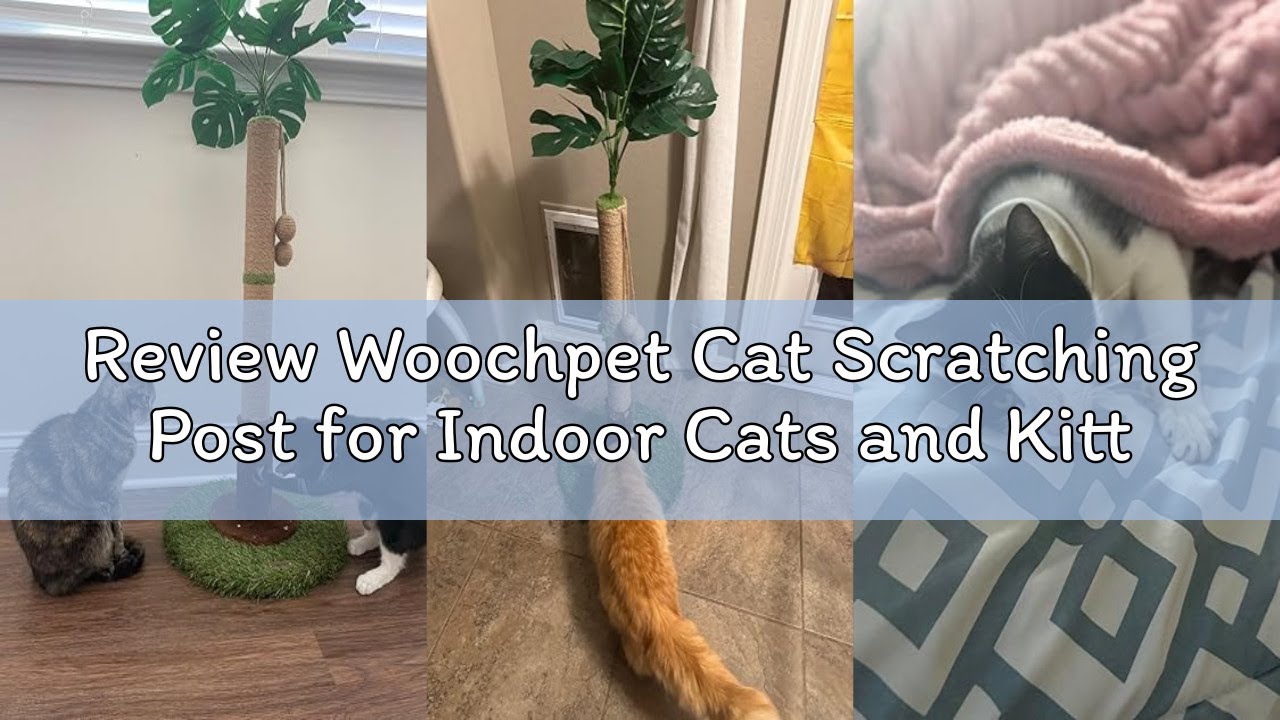 Review Woochpet Cat Scratching Post for Indoor Cats and Kitten - 35.43