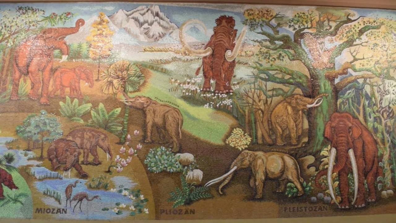Rundgang Dickhäuterhaus Tierpark Berlin 11.9.2016