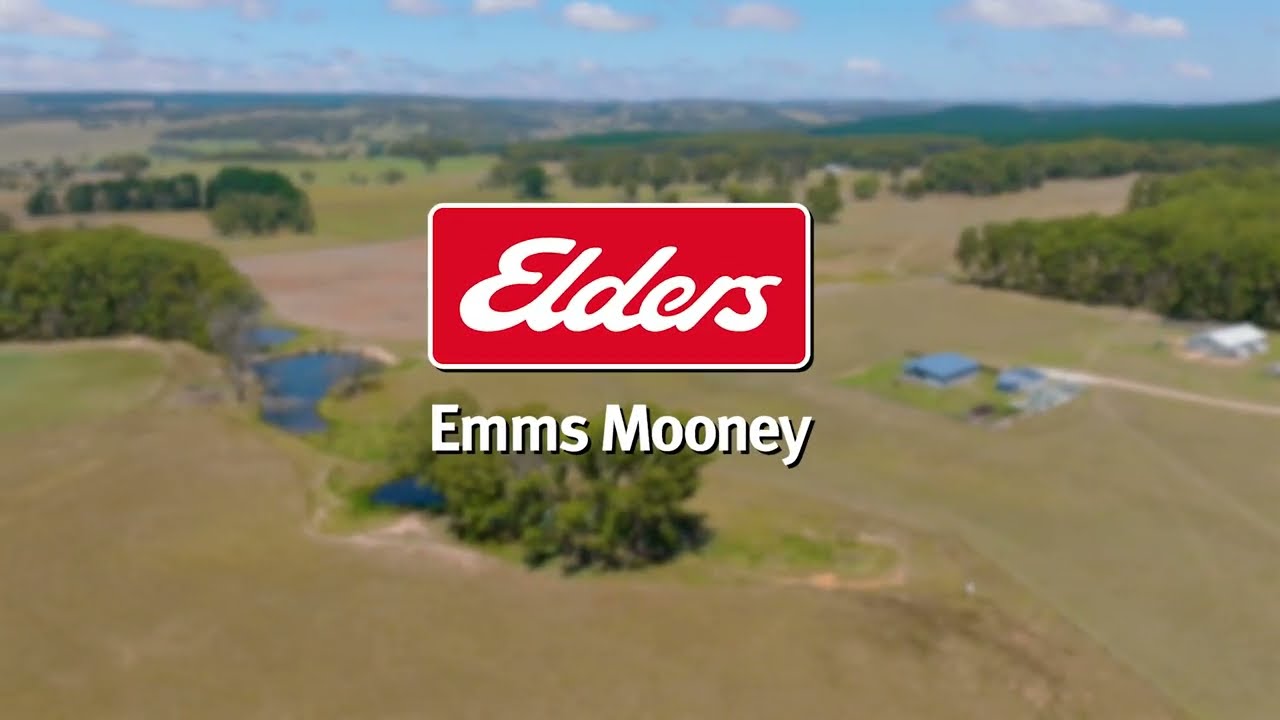 Elders Emms Mooney - 'Woodlands' 951 Shooters Hill Road, Chatham Valley