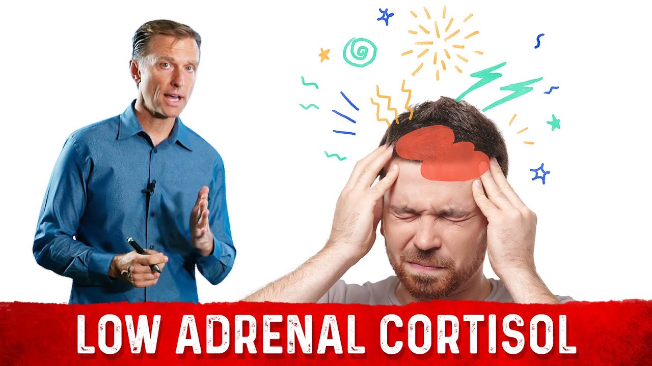 Adrenal Insufficiency and Low Cortisol: Symptoms, Causes & Solutions &ndash; Dr.Berg
