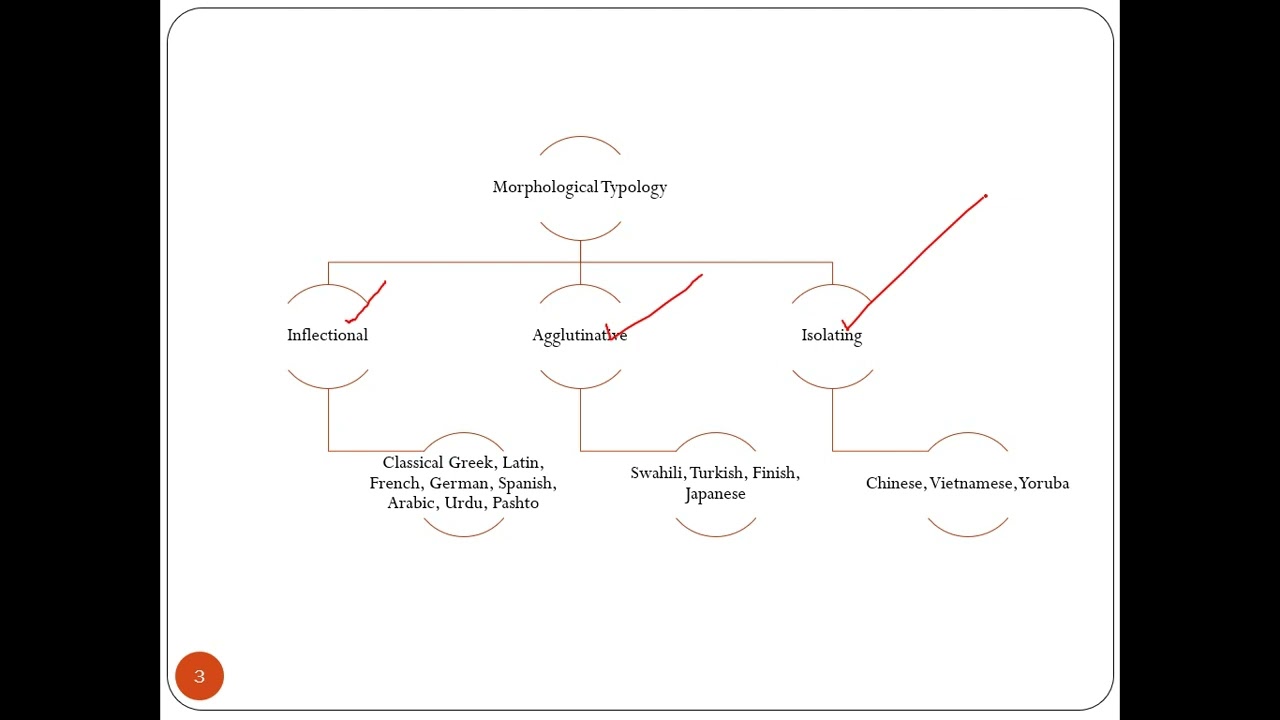 Morphological Typology of Languages