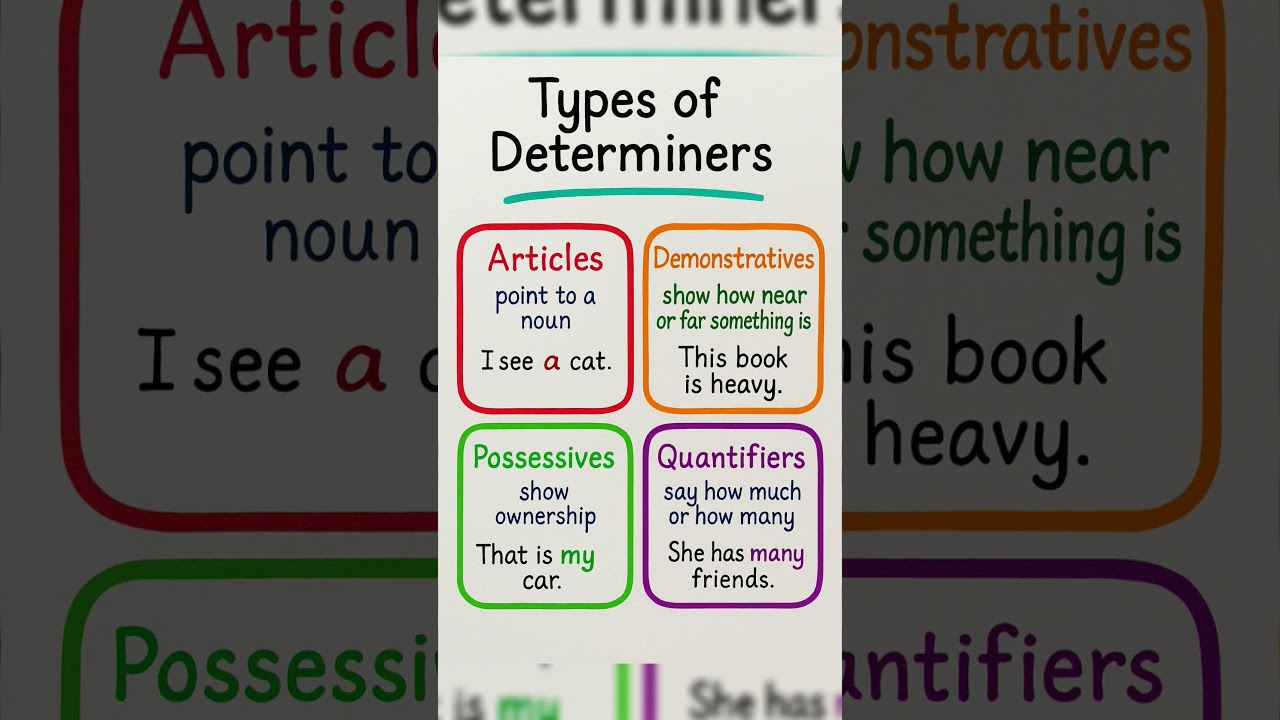Types of Determiners &ndash; Easy Definitions with Examples #englishgrammar #education #educationalshorts
