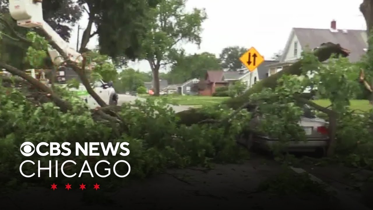 Thousands without power after storms downs trees, power lines in Chicago area