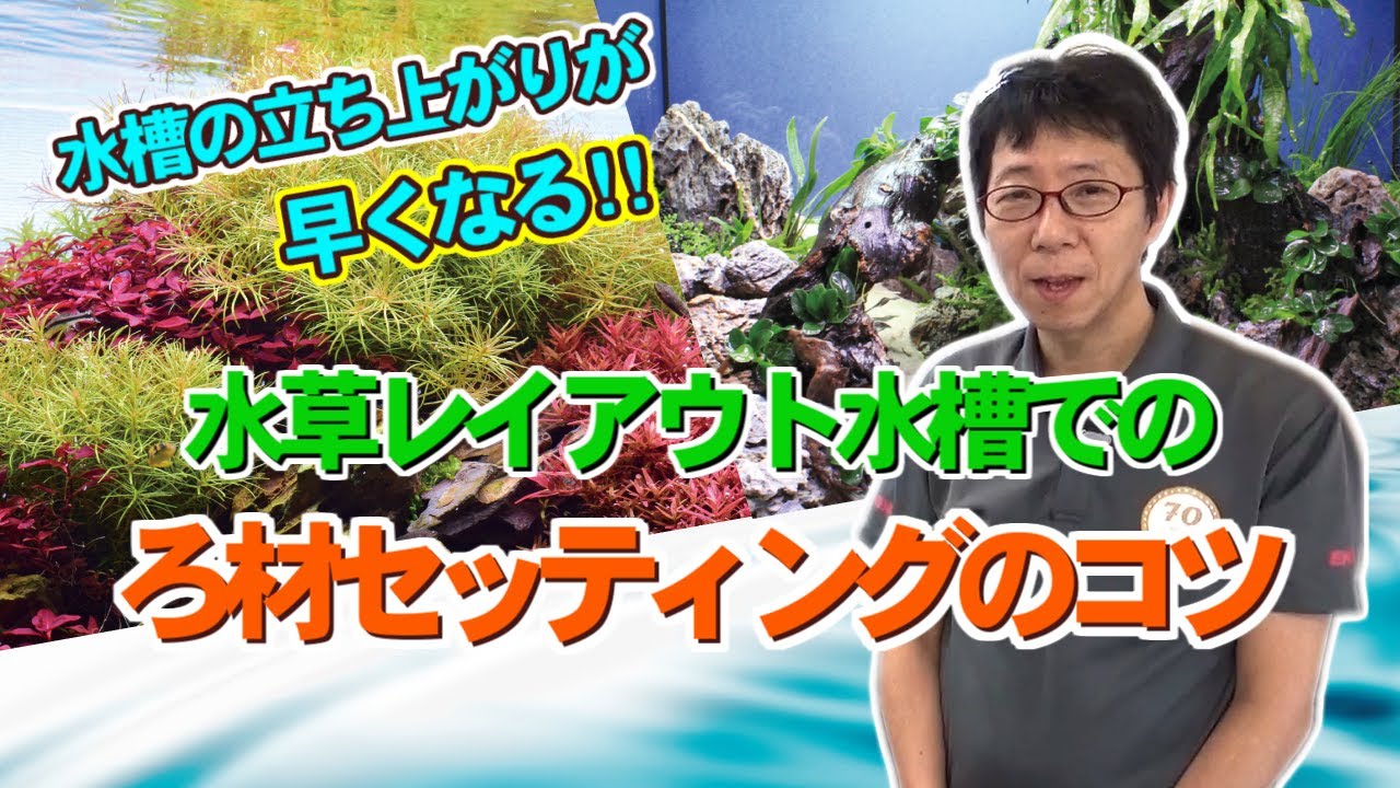 【EHEIM】水草水槽でのろ材の使い方を紹介、水槽の立ち上がりが早くなるコツはろ材を減らす！？　エーハイムアンバサダー志藤範行氏