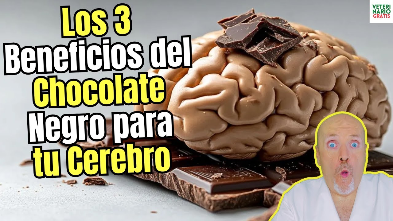 🍫 LOS 3 BENEFICIOS DEL CHOCOLATE NEGRO PARA EL CEREBRO🍫