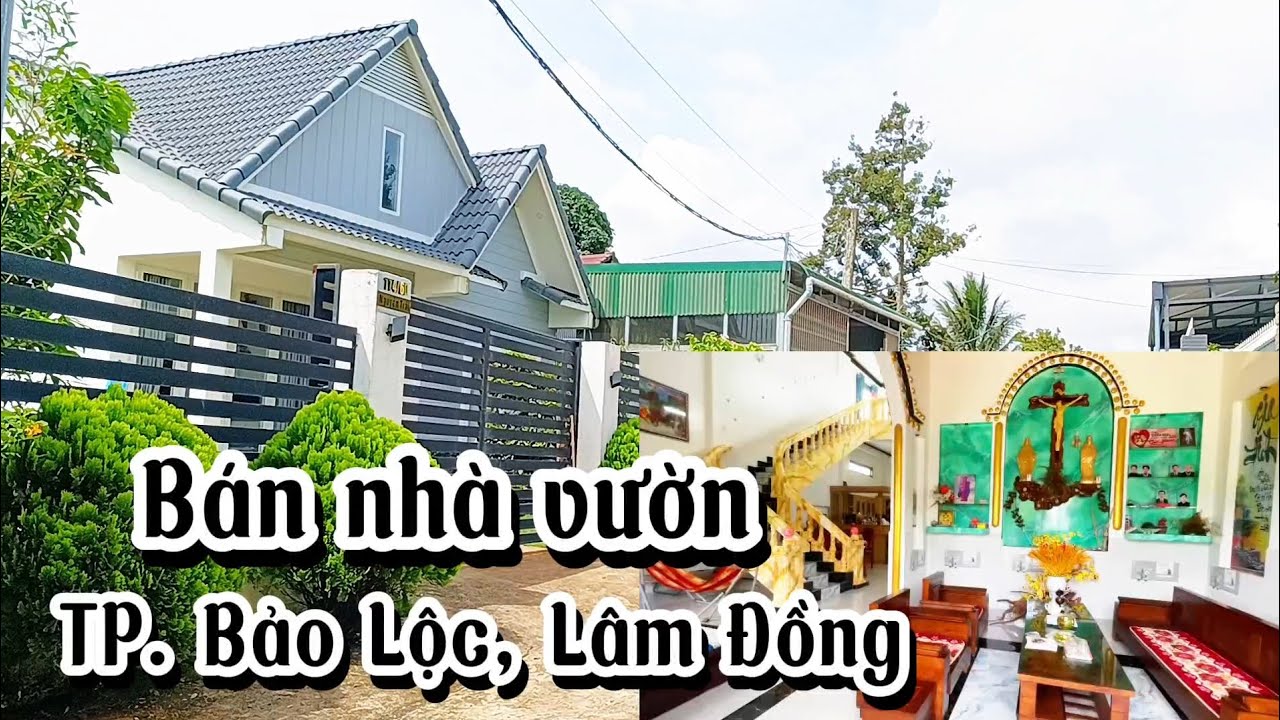 Bán nhà vườn tuyệt đẹp ngay TP. Bảo Lộc|| Diện tích 624m2 sẵn 181m2 thổ cư