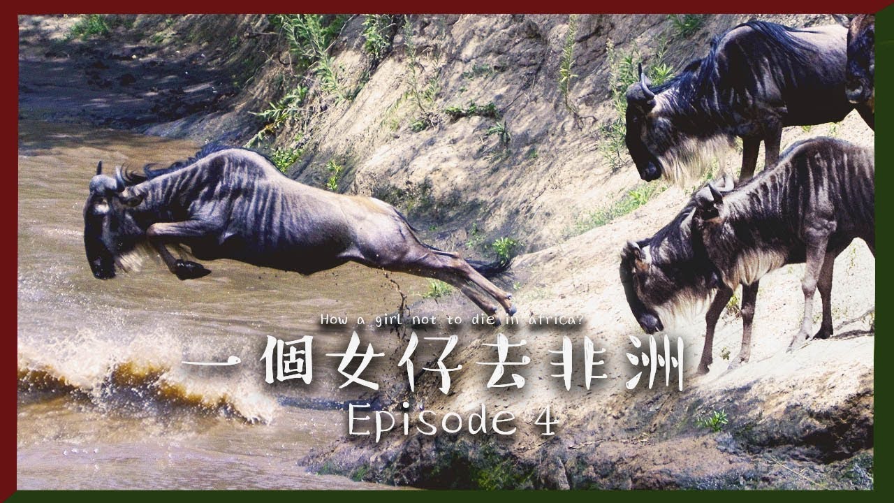 [中字] 一生必看一次的動物大遷徙!!｜一個女仔去非洲 EP 4｜KENYA VLOG｜RedisPolly