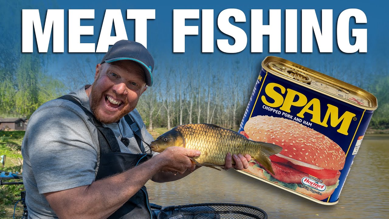 Carp and F1's on MEAT! | Andy May