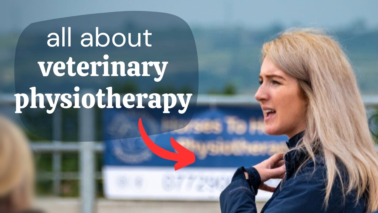 Things you need to know about veterinary physiotherapy!