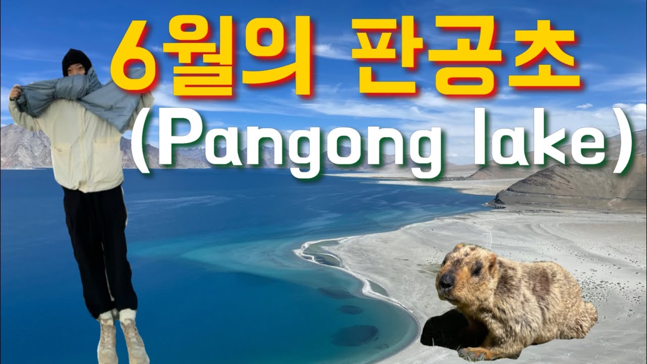 [인도🇮🇳] India (Eng) / 레(Leh)에서 판공초 투어 (merak)