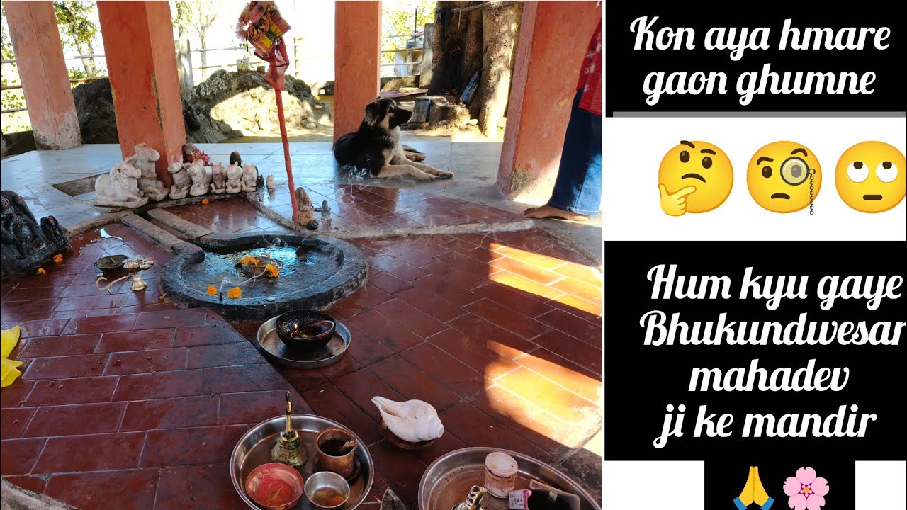 Kon aya hmare gaon 🤔🙄  (part-1) #omnamahshivaya #jaibholenaath  #uttarakhand #kyark #pahadi 